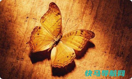 异地恋的情话句子