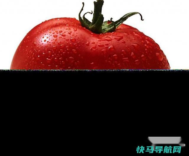 能够帮助减肥的有哪些 第3张